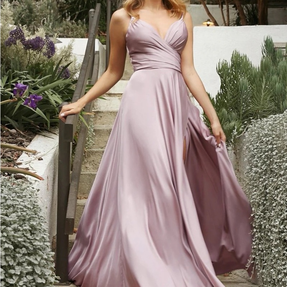 NWT Ladivine Formal Dress soft rose prom
Cinderella Divine bridesmaid  4/6 6/8‎